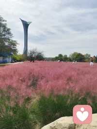 今日份快乐，
是世博园给的✨
风遇草木，
人赴美景，
尽兴而归