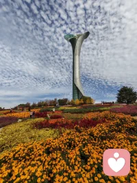 今日份快乐，
是世博园给的✨
风遇草木，
人赴美景，
尽兴而归