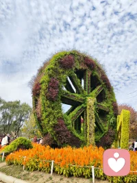 今日份快乐，
是世博园给的✨
风遇草木，
人赴美景，
尽兴而归