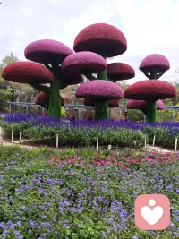 欲买桂花同载舟，
终不似，少年游。
原来世间很多风景，
再复刻一遍，
也少了当初那份心动
