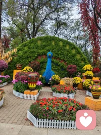 欲买桂花同载舟，
终不似，少年游。
原来世间很多风景，
再复刻一遍，
也少了当初那份心动