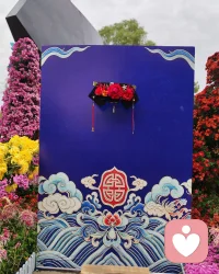 欲买桂花同载舟，
终不似，少年游。
原来世间很多风景，
再复刻一遍，
也少了当初那份心动