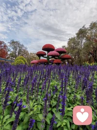 欲买桂花同载舟，
终不似，少年游。
原来世间很多风景，
再复刻一遍，
也少了当初那份心动