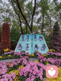 欲买桂花同载舟，
终不似，少年游。
原来世间很多风景，
再复刻一遍，
也少了当初那份心动