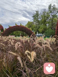 欲买桂花同载舟，
终不似，少年游。
原来世间很多风景，
再复刻一遍，
也少了当初那份心动