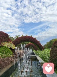 欲买桂花同载舟，
终不似，少年游。
原来世间很多风景，
再复刻一遍，
也少了当初那份心动
