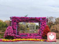 欲买桂花同载舟，
终不似，少年游。
原来世间很多风景，
再复刻一遍，
也少了当初那份心动