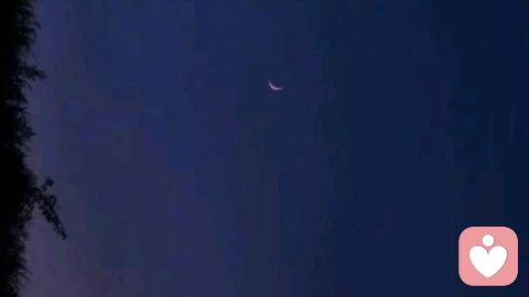 成年人,也允许自己有撑不住的时候