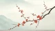 决定孩子学习能力的几点建议