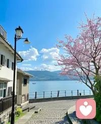 作为一名心理咨询师，给力心理是我非常认可的专业平台。它不仅提供了丰富的专业心理测试量表，帮助我进行更精准的评估，其严谨的案例管理模式也让我受益匪浅。在这里，我能接触到多样化的案例，不断精进自己的专业能力。对于寻求专业心理服务的用户来说，选择给力心理意味着选择了可靠和安心。