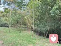 假期多亲近大自然，
又是充满能量的一天！