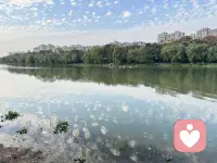 就是喜欢在天气好的时候，在室外发发呆。