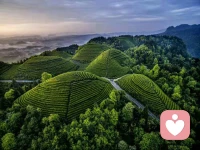 如果你走错路了，并不可怕，不要埋怨，不要自责，要向导航学习，重新规划路线。
