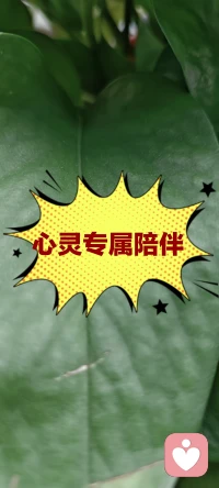 心里积压太多心事，找不到人好好聊聊



你好，我是梦凡。
擅长倾听婚姻内耗、情感委屈、生活压力。
不评判、不说教，安静接住你的所有情绪，对话严格保密。
 
⚠️服务说明：仅线上情绪树洞陪伴，不做心理诊断与治疗。
服务为付费倾诉，不提供免费试聊；只聊心事情绪，不聊暧昧、不聊低俗话题。
如果只是闲聊打发时间，请勿下单。想倾诉心事，欢迎来找我