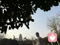 最近身体不好，咳嗽厉害，不怎么在线，等我回来～