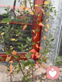 很多时刻，人要的不是解决方案，只是有人好好听一听。不指责，不劝大度，不急于讲道理。给你一个安全的树洞，安放无处可说的情绪。