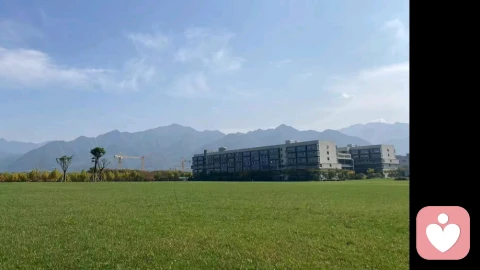 疗愈到底是怎么回事
