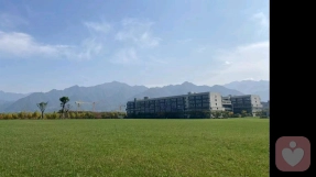 疗愈到底是怎么回事