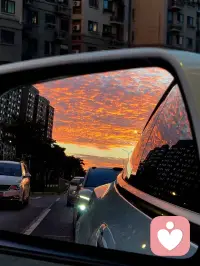 现代人的困境有很多，在自己的工作、生活圈中处处攀比，得不到就心生焦虑，觉得步步落后，处处不如人。我们像一只只被圈养在方寸之地的家雀，每日在有限的几根枝桠间跳跃，以为那就是世界的全部，为几粒米争得不可开交。