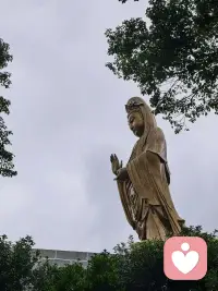 在这个世间，
一切房子，名利，情感，
你曾经拼了命想得到的东西，
无论怎么折腾，怎么追求，
想要执着，实际浮生是梦，
说放下，亦是放无可放。
 
所以，我们该如何度过剩下的人生？
—不拒绝，也不定义。
正因无形，才能容纳万相。
正因无执，才有无限可能。
用欲念填补，便始终会匮乏，
而山谷不语，却能聚干风。
 
你从未缺少什么，
你本就是那条没有封口的管道。
 
正因为你什么都不是，
才什么都能是。