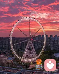 无惧与无悔的心态：无惧是允许一切发生，不对未知的事做过多灾难化假设，兵来将挡水来土掩：无悔是坦然接受已经发生的所有结果，不把时间浪费在事后怨怼上，专注当下解决问题