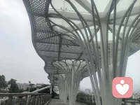 走在城市的天桥上，我们都习惯在外人面前装作没事。
独处的时候，压抑的情绪总会翻涌上来。
 
不用硬撑，不必独自消化所有难过。
找一个陌生又安全的人，把心里的苦倒一倒，
我做你的情绪树洞，安静接住你的全部心事，