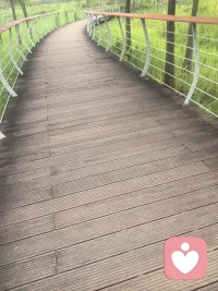 长路漫漫，愿你的心事，有处可安放🌱