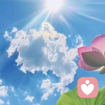 念安的头像