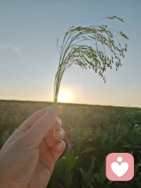 允许别人做别人，允许自己做自己…