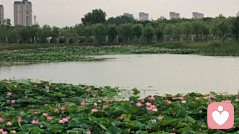情绪是如何产生的