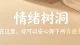 做你深夜里温暖的树洞