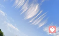 今晚8—11点在线，这个时段适合不想一个人呆着的人。语音/文字都接，不催你、不评判、不教育，先听你说完。