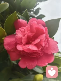 ✨ 在这里，认真倾听，温柔陪伴。
拥有丰富人际沟通、情绪疏导经验，尊重每一种情绪，接纳所有心事。