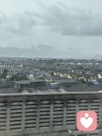 我发现我自己始终在思考一个问题，站在人生的岔路口，人究竟应该怎么做？……