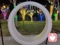 一轮圆环框住满城灯火，
夜色温柔，流光漫过枝头。
人间烟火，灯火可亲，
愿所有奔赴，都能遇见星光✨