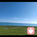 同款歇歇的头像