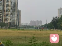 飞盘🥏，足球⚽