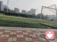 足球，纯粹的运动