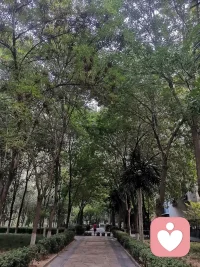 秋分