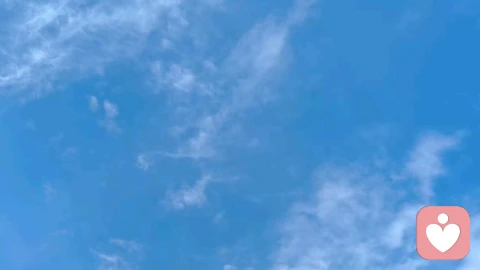 不慌不乱,不焦不躁
