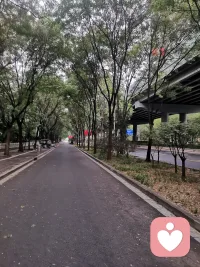 秋意盎然