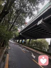 秋意盎然