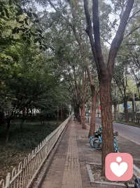 初秋，国庆