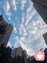 一宿的风，还在刮