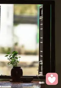 你困惑中的你：有心栽花花不开，无心插柳柳成荫。
尤其是重要选择的时候，尽量让自己放松，不要太在意，你越轻松越不刻意，结果往往会更好。也不要刻意的不在乎，而是真正放平心态，做好自己能做的，剩下的交给天意即可。
