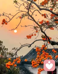总有人说你不懂她他，雨停了，再送伞就没意思了，花枯了，再浇水也是徒劳。这个世界上最多余的东西就是夏天的棉袄，冬天的蒲扇，迟到的道歉，心冷后的殷勤。迟到的东西就像过期的药，再重要也没意义，非你不可的那个劲儿没了。