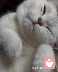 去工作吧，忙是治疗一切疑心症的良药，一忙，没时间想杂七杂八的事儿，很多焦虑都自愈，而且自己也有了自信，就算别人骗你，也能活的好好的。