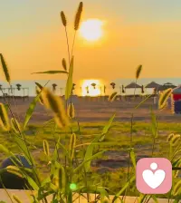 天气慢慢降温了，看到此信息的朋友，记得给自己添件衣裳。人这一生，总要适应世间所有的温度，不只是忽冷忽热的季节，还有捉摸不透的人心。经历多了才懂，冷暖皆是常态，不必为谁的冷淡难过，万般滋味，都只能自己慢慢体会。