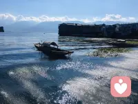 山河拱手，为你一笑。人间清欢，有缘遇见。🌹