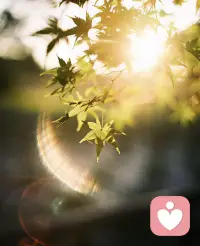 新的一天，给我们的身心加满能量吧~💐☀️😋
